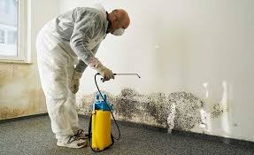 Best Mold Prevention Services  in Duluth, GA